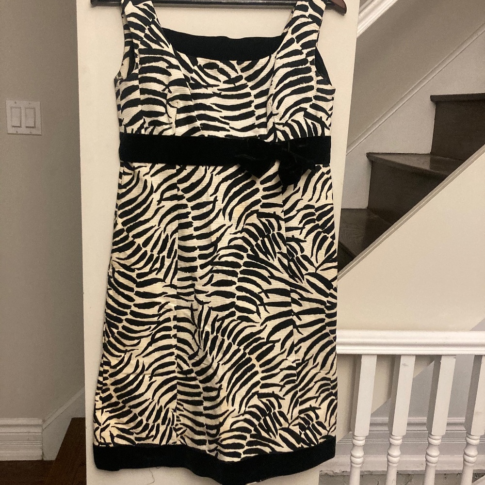 Vintage Zebra Striped Minidress with Velvet Trim and Bow